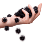 black scritter critters2