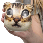 catstronaut3