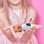 costume guinea pig3