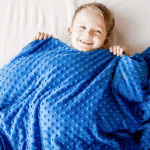 minkee blanket2