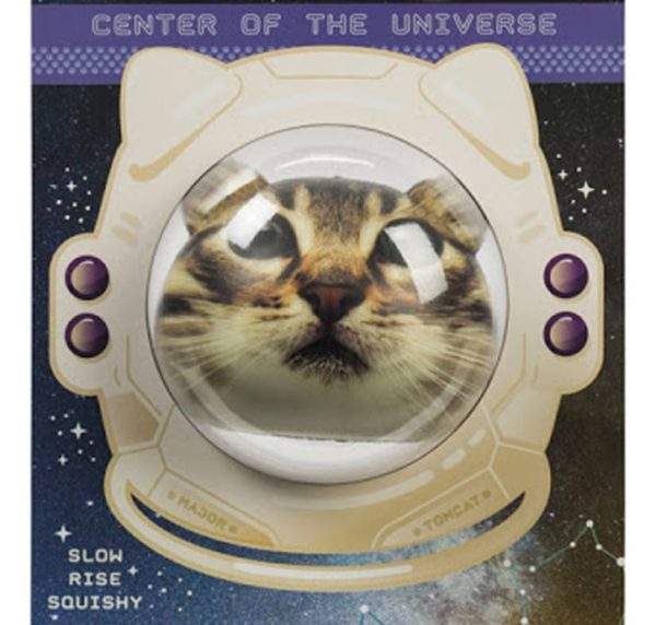 1614711229_cropped-cat-astronaut-ball.jpg