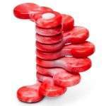 coiling finger winder fidget