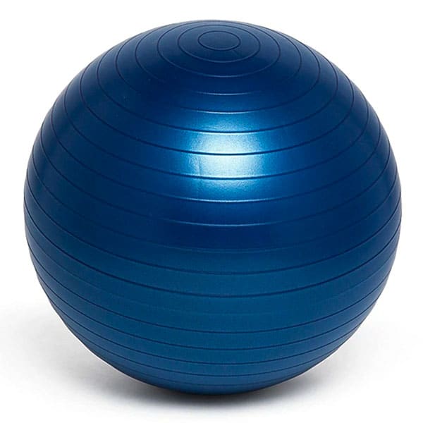 weighted therapy ball