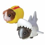 costume guinea pig fidgets