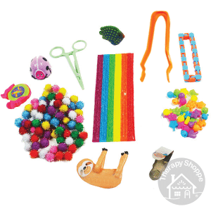 assorted fine motor toys