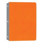 orange full page reading guide sheet