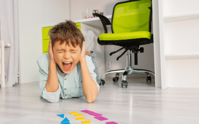 Understanding Sensory Meltdowns and Helpful Coping...